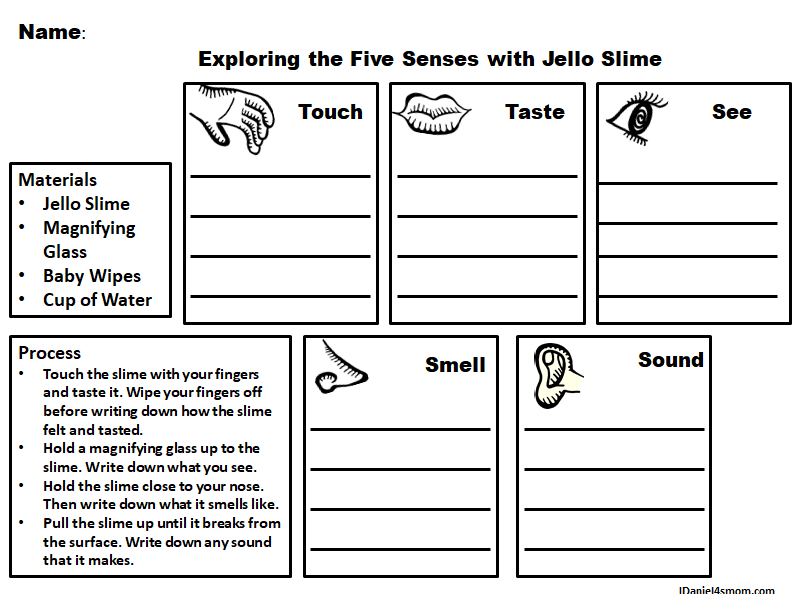 Exploring the Five Senses with Edible Jello Slime - Free Printable Recording Worksheet