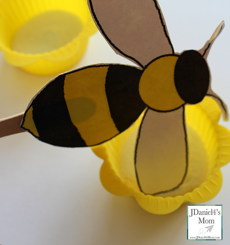 Fun Science Experiments- Pollination