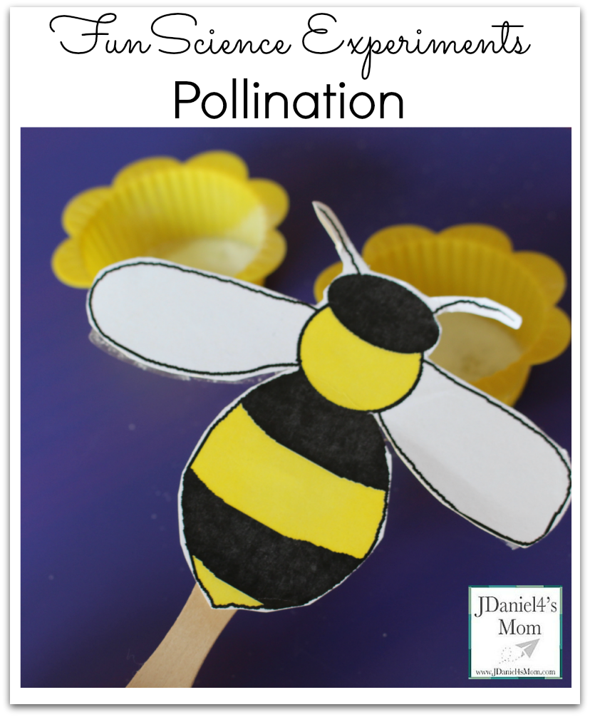 Fun Science Experiments- Pollination