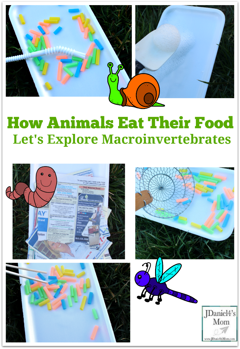 How Animals Eat Their Food- Let's Explore Macroinvertebrates- Children will learn how five different macrointvertebrates eat at these interactive learning stations. Kids will love exploring them.