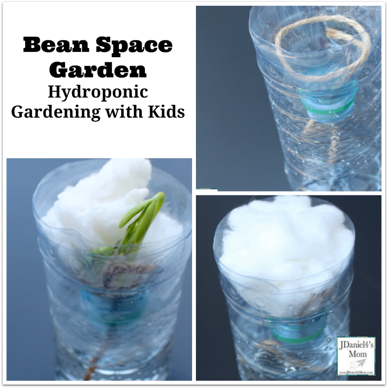 Hydroponic Gardening with Kids - Bean Space Garden 