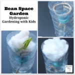 Hydroponic Gardening with Kids - Bean Space Garden : Kids will love watching the bean seed grow without soil.