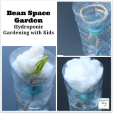 Hydroponic Gardening with Kids - Bean Space Garden