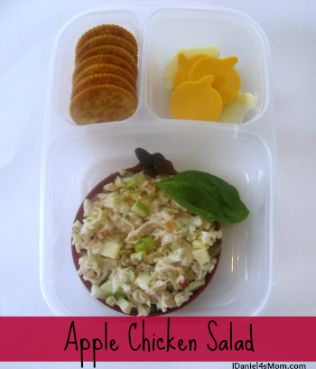 Kid's Lunch - Apple Chicken Salad Bento