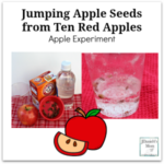 Jumping Apple Seeds from Ten Red Apples Apple Experiment for Kids of All Ages