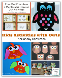 Kids Activities with Owls