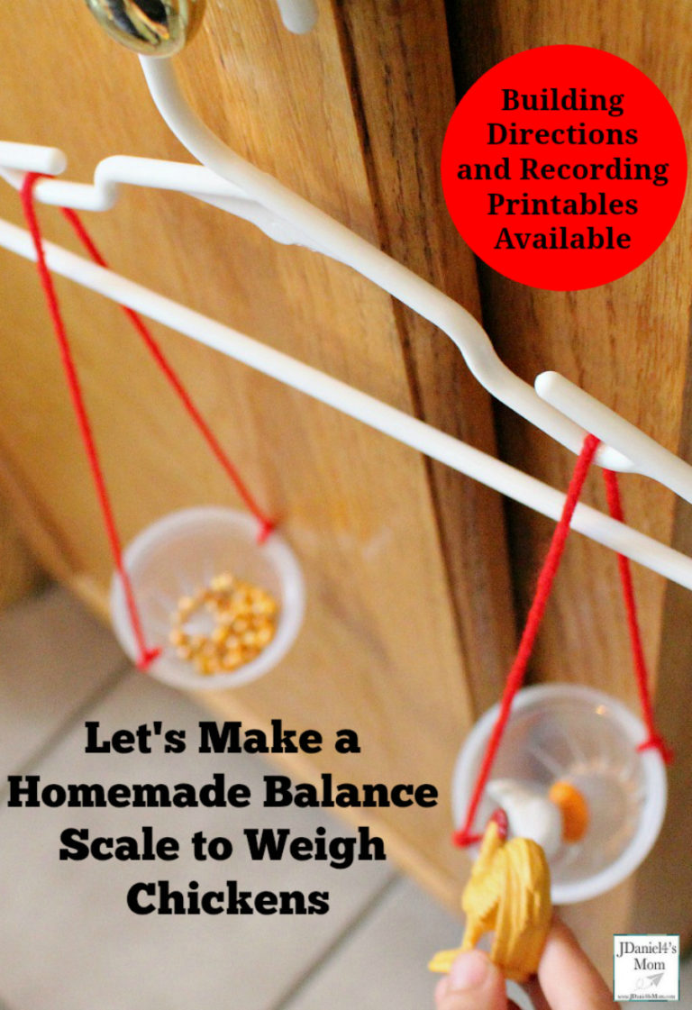 Let's Make a Homemade Balance Scale to Weigh Chickens