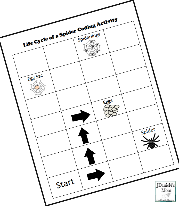 Life Cycle of a Spider Coding Activity- Blank Coding Sheet Step One