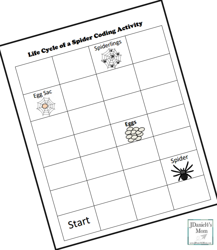 Life Cycle of a Spider Coding Activity- Blank Coding Sheet