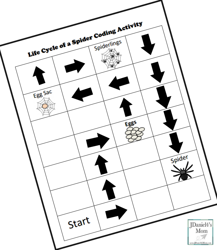 Life Cycle of a Spider Coding Activity- Step Four Picture