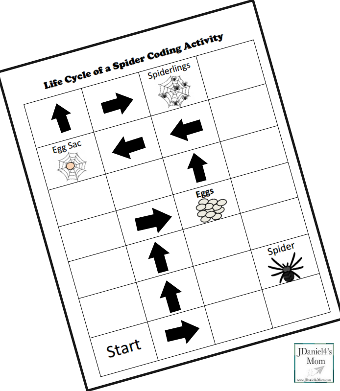 Life Cycle of a Spider Coding Activity- Step Three Picture