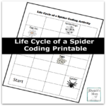 Life Cycle of a Spider Coding Printable