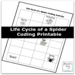 Life Cycle of a Spider Coding Printable Featured
