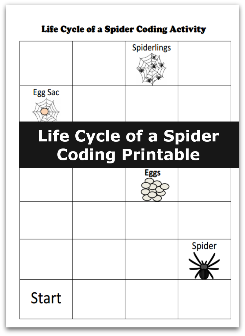 Life Cycle of a Spider Coding Printable - This is simple way to introduce your children to coding and review the stages of the life cycle of a spider.