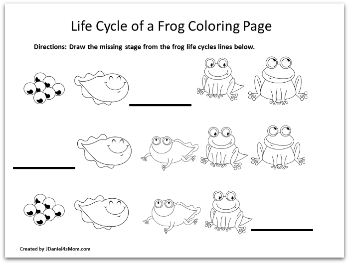 Gambar Frog Coloring Pages Learning Activities Page Displays Life Cycle ...