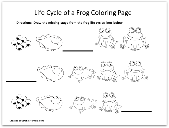 Frog Coloring Pages And Learning Activities