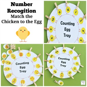 Number Recognition Counting Egg Tray