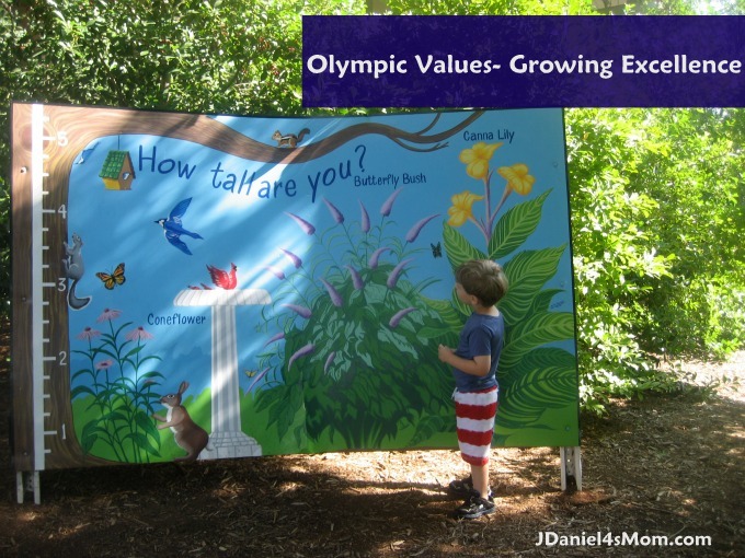 Olympic Values- Excellence