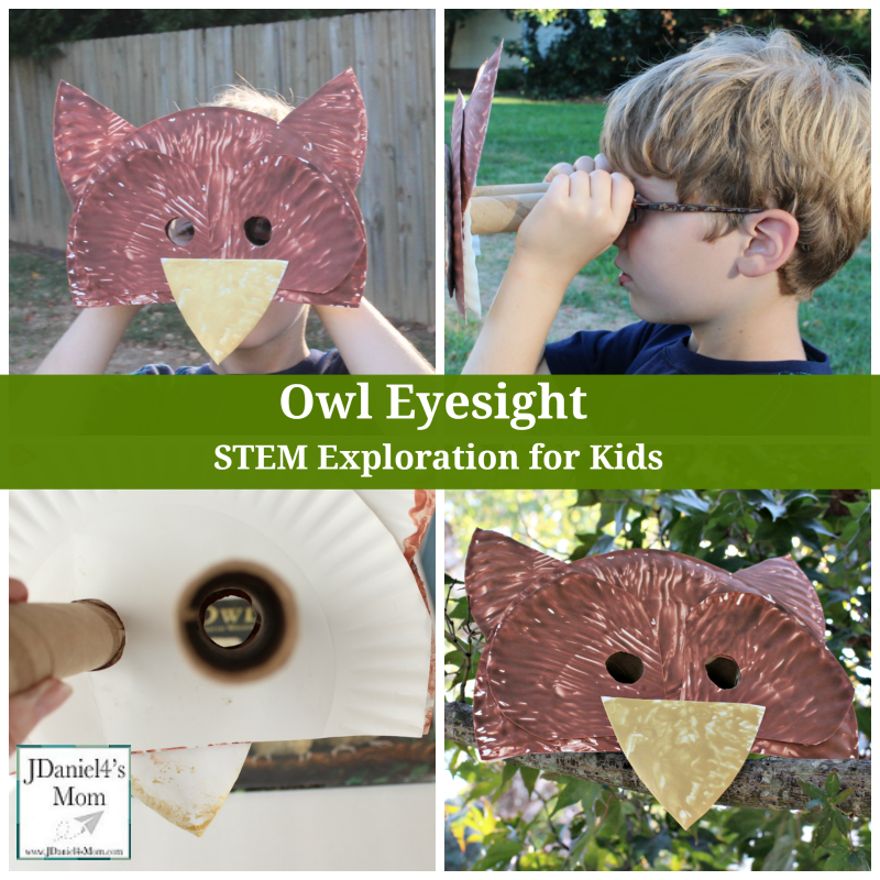 Perfect Gift to Kids ! Owl Mask Bigger & Better Eyes 
