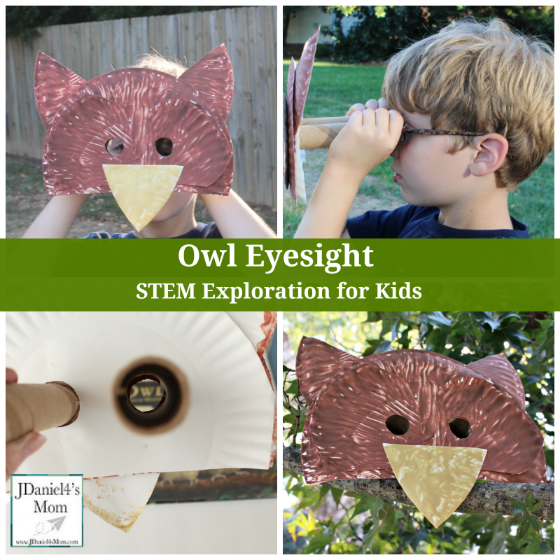 Owl Eyesight - STEM Exploration for Kids - You can build the viewer for you children or have them built it themselves.