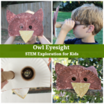Owl Eyesight - STEM Exploration for Kids