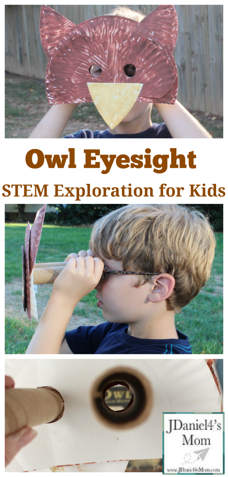 Owl Eyesight - STEM Exploration for Kids - You can build the viewer for you children or have them built it themselves.