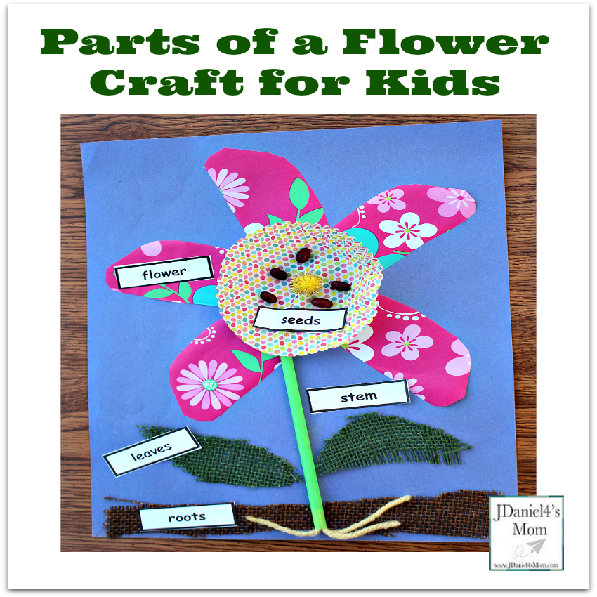 Parts of a Flower Craft for Kids - Stop by and get a free set of printable plant part labels.