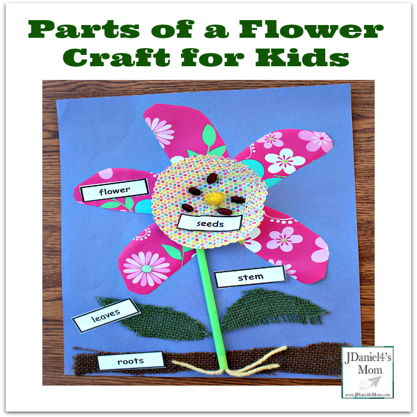 Straw Flowers  Fun Family Crafts