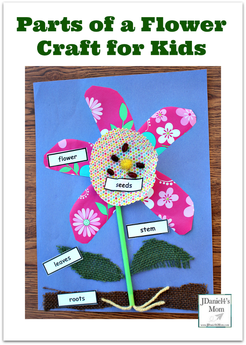 Parts of a Flower Craft for Kids- A free set of printable plant part labels in available on this post.