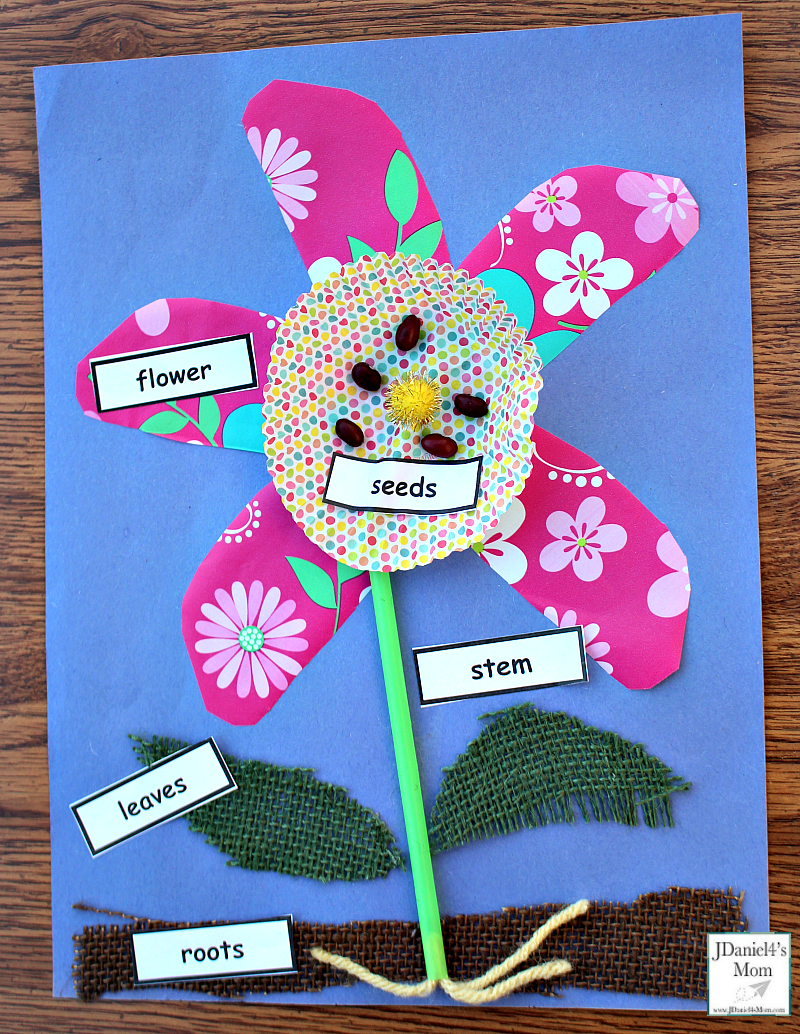 Parts of a Plant Craft for Kids