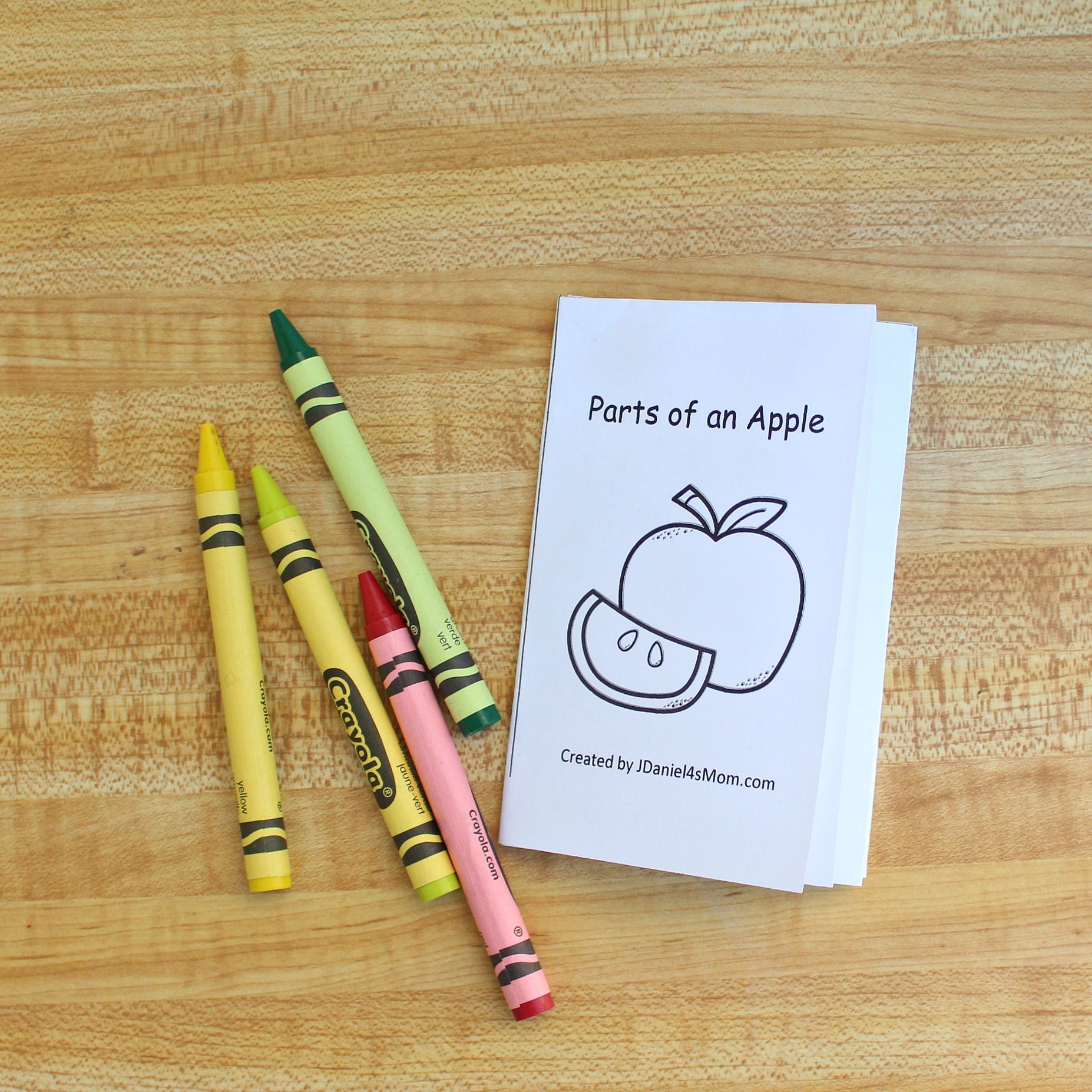 Parts of an Apple Printable Read and Color Mini Book for Kids