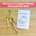 Parts of an Apple Printable Read and Color Mini Book