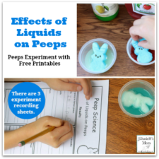Peeps Experiment with Free Printables- Effects of Liquids on Peeps