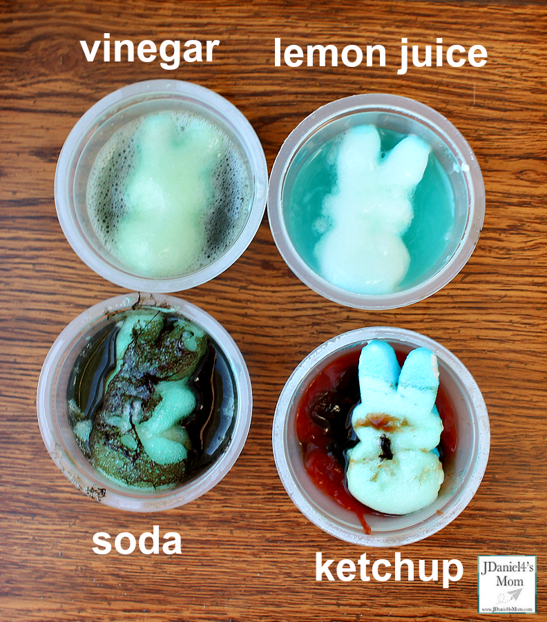 Peeps Experiment with Free Printables- Effects of Liquids on Peeps Results Picture