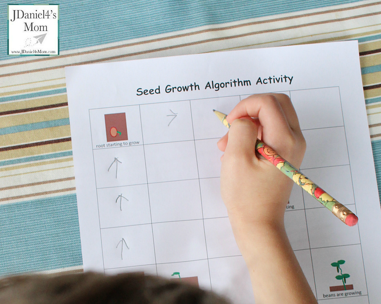 Plant Growth Algorithm Coding Worksheet- Why not tie coding into your study of plants.