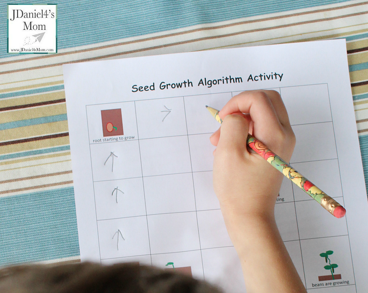 seeds growing into plants worksheet