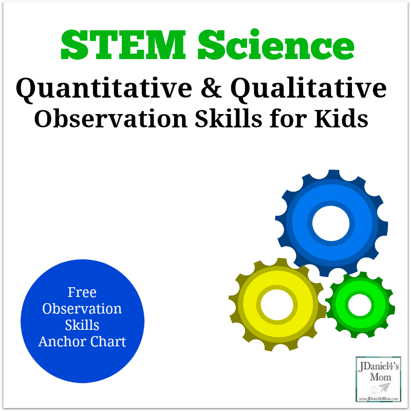 Quantitative and qualitative observations worksheet