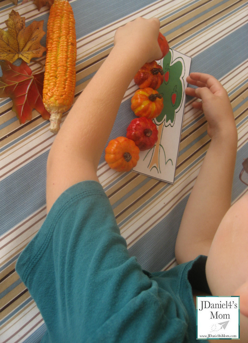 Ruler Game- Measuring in Farm Units