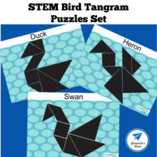 Butterfly Tangram Pattern Mats - JDaniel4s Mom