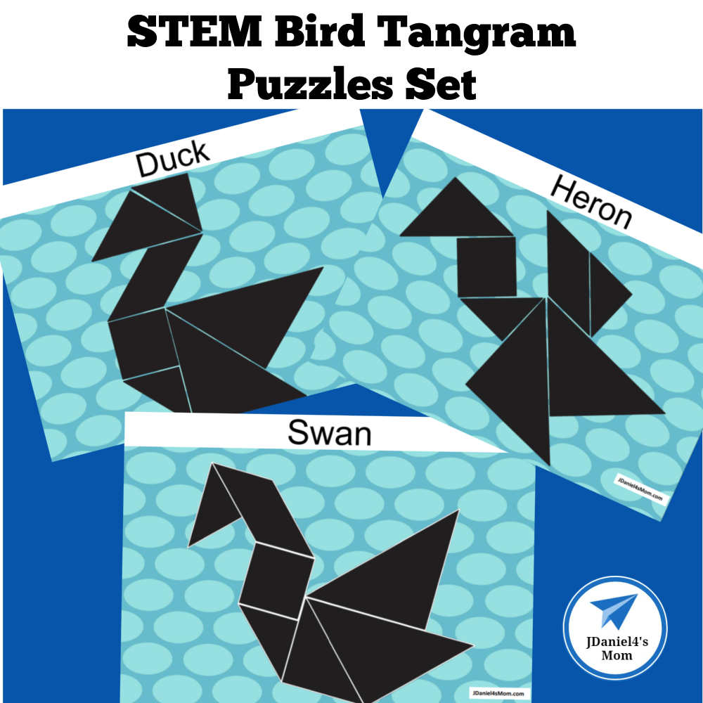 Animals #24 - Tangram - Brainzilla