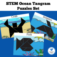 STEM Ocean Tangram Puzzles Set small square (1)
