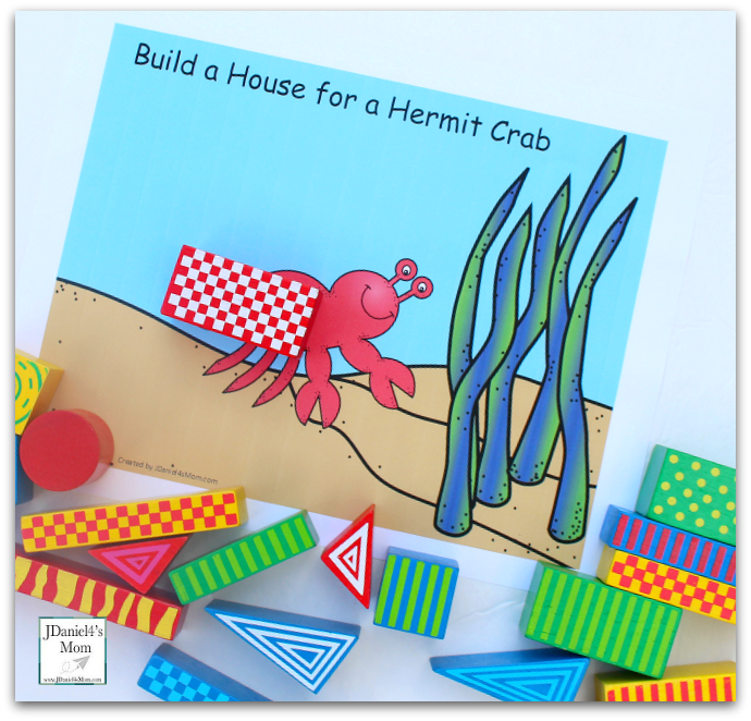 STEM Projects with Blocks- Hermit Crab House : Free Exploration