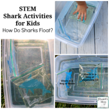 STEM Shark Activities for Kids - How Do Sharks Float?