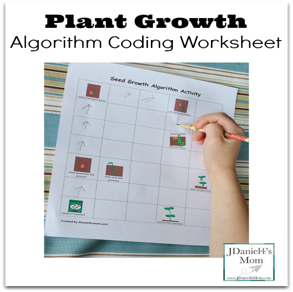 Seed-Growth-Algorithm-Activity-Facebook revised