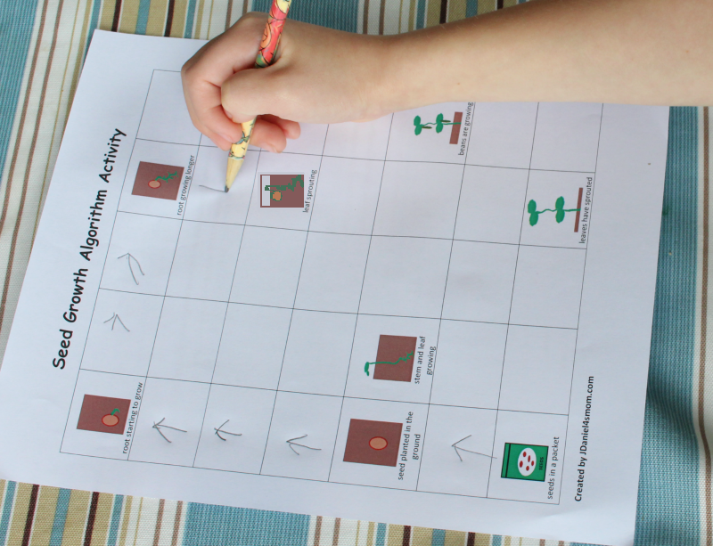 Seed-Growth-Algorithm-Activity revised