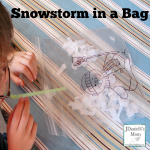 When you truly want snow and it just doesn't seem to fall you can make a snowstorm in a bag.