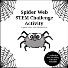 Spider Web STEM Challenge Activity