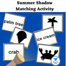 Summer Shadow Matching Activity