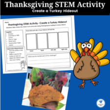 Thanksgiving STEM Activity- Create a Turkey Hideout