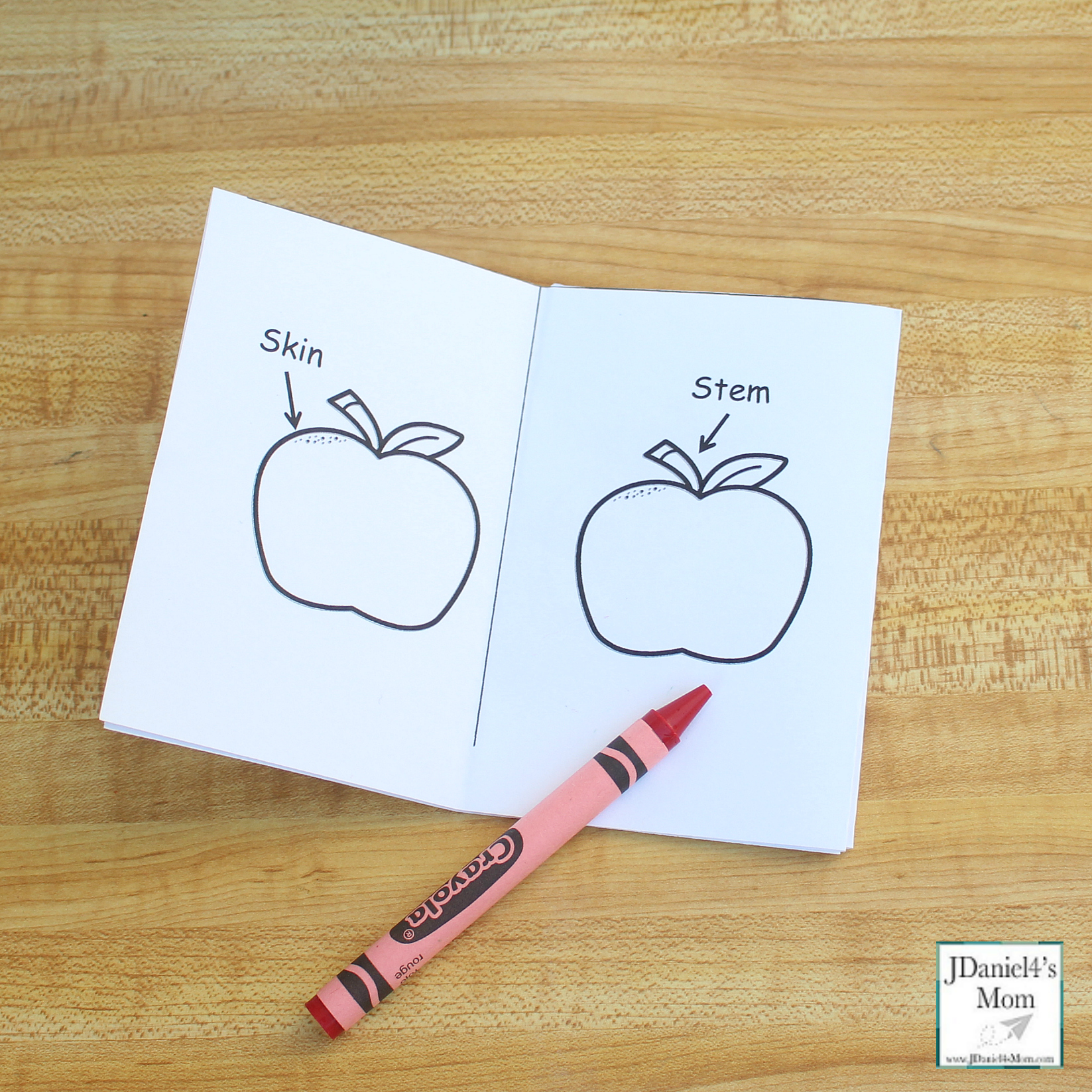 The Parts of an Apple Printable Read and Color Book - Skin and Stem